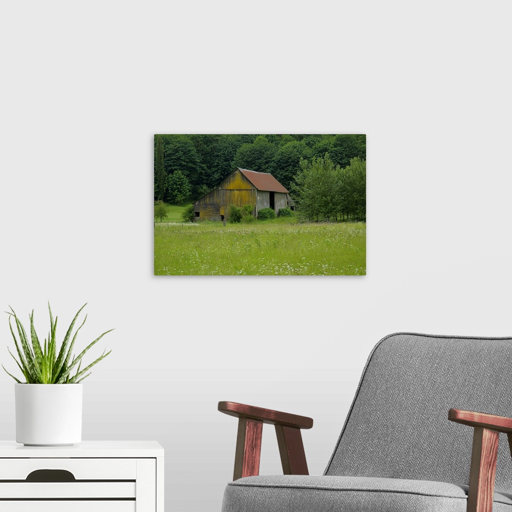 A modern room featuring An old wooden barn near a forest at the edge of a field.