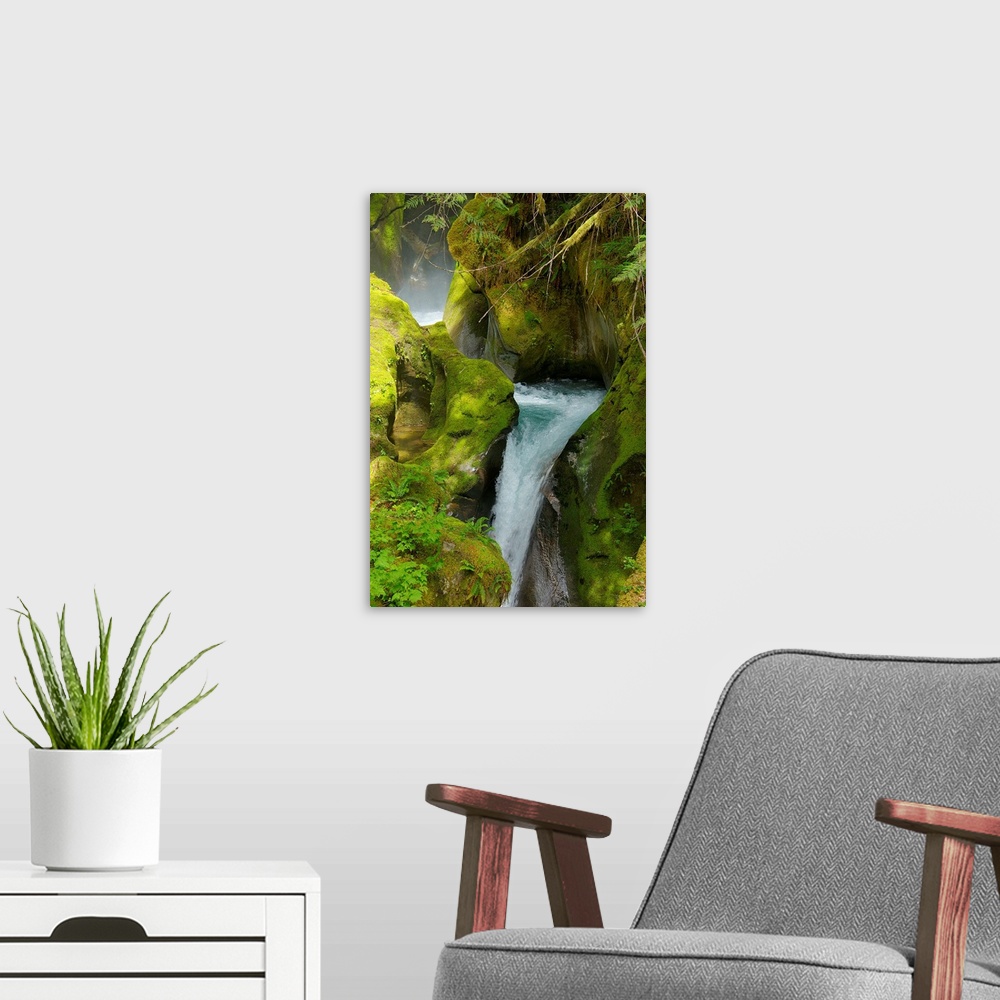A modern room featuring Flowing waterfall surrounded by mossy rocks in Washington state.