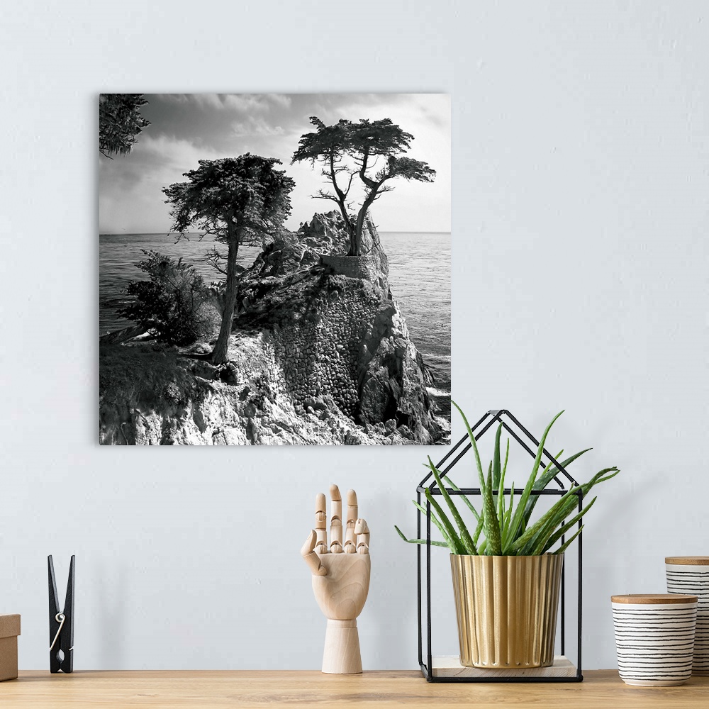 A bohemian room featuring Lone Cypress 3