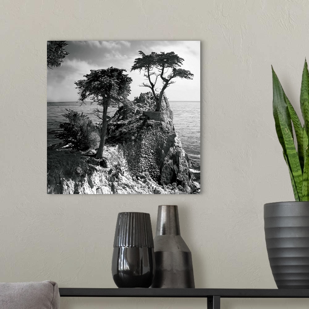 A modern room featuring Lone Cypress 3
