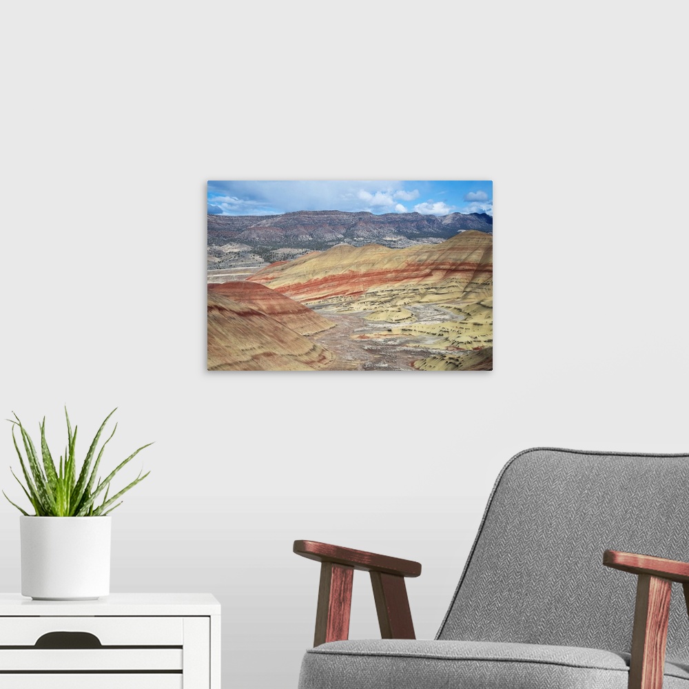 A modern room featuring Ochoco Mountains & Painted Hills