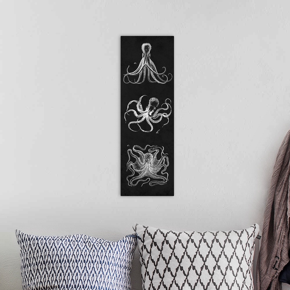 A bohemian room featuring Octopi Study