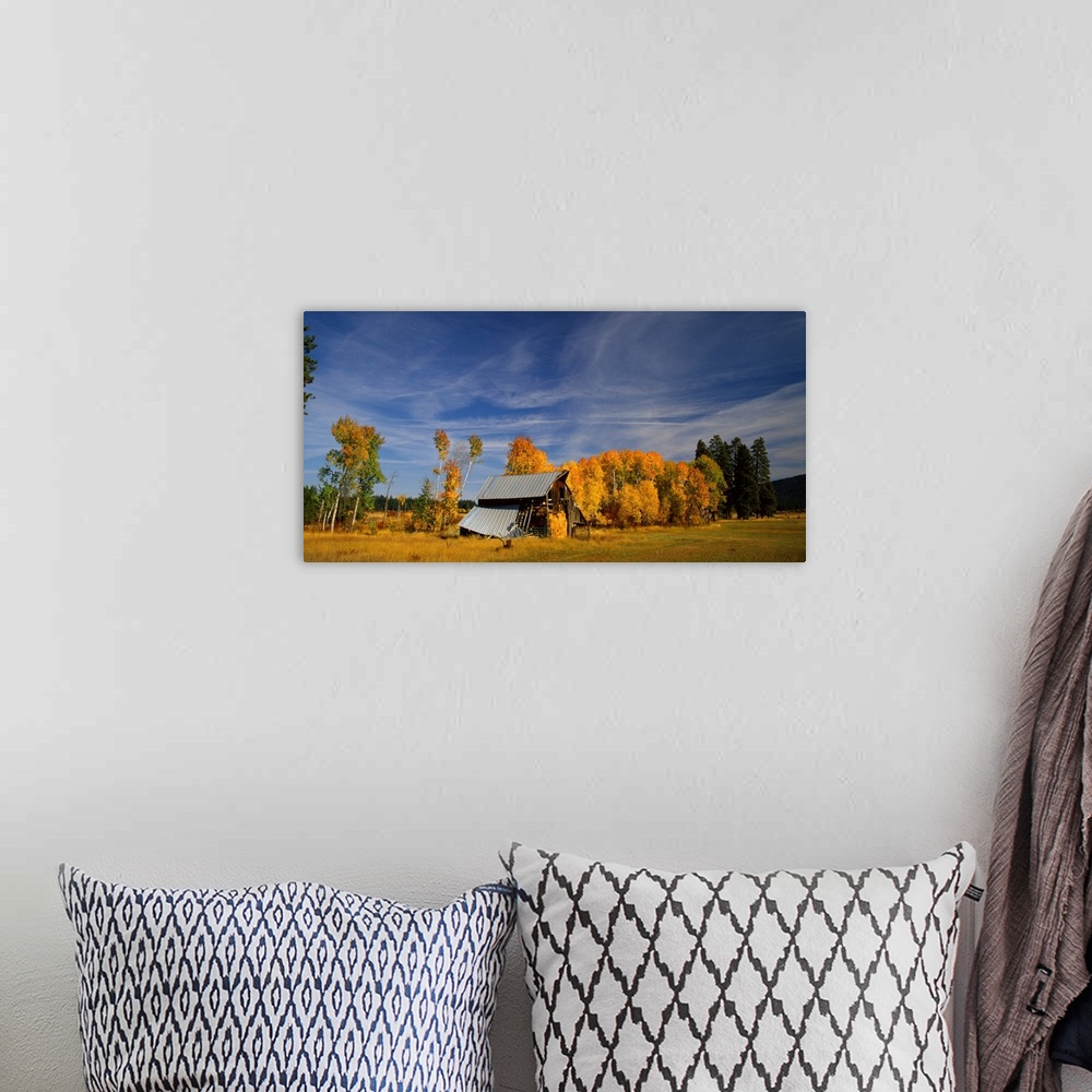 A bohemian room featuring Photograph of a barn with a tin roof falling apart surrounded by Autumn trees.