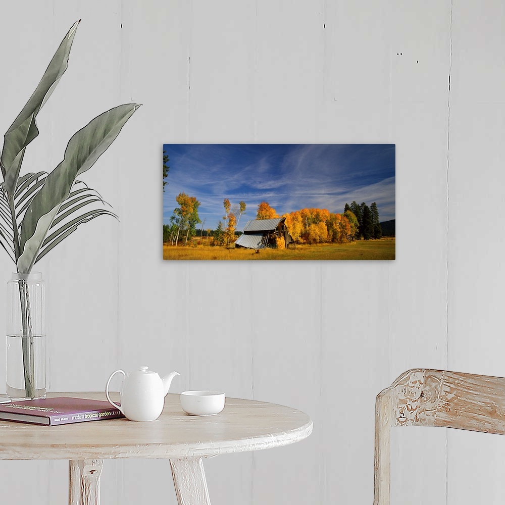 A farmhouse room featuring Photograph of a barn with a tin roof falling apart surrounded by Autumn trees.