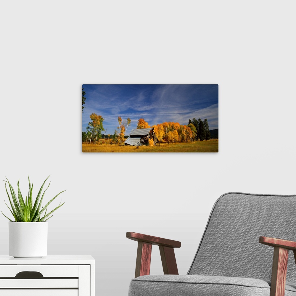 A modern room featuring Photograph of a barn with a tin roof falling apart surrounded by Autumn trees.