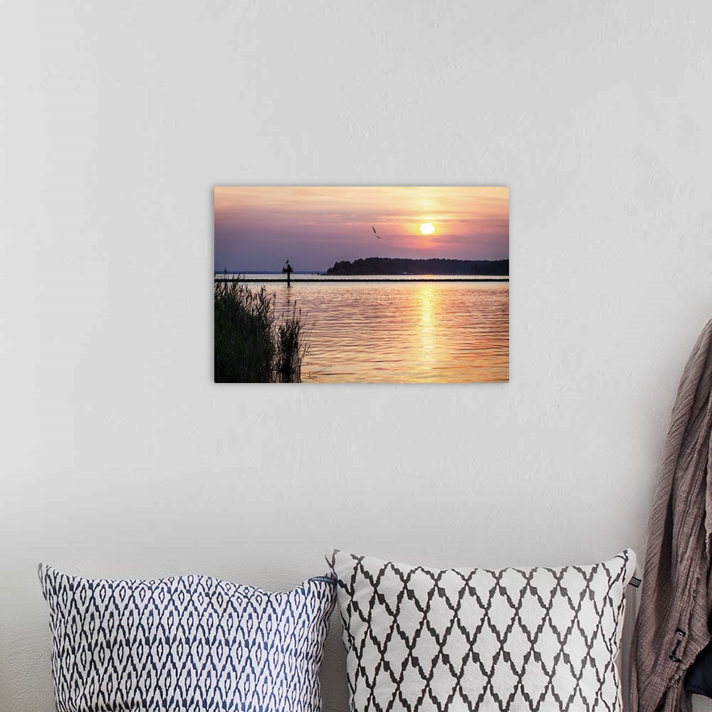 A bohemian room featuring Ospreys flying in the pastel sky at sunset over the ocean.