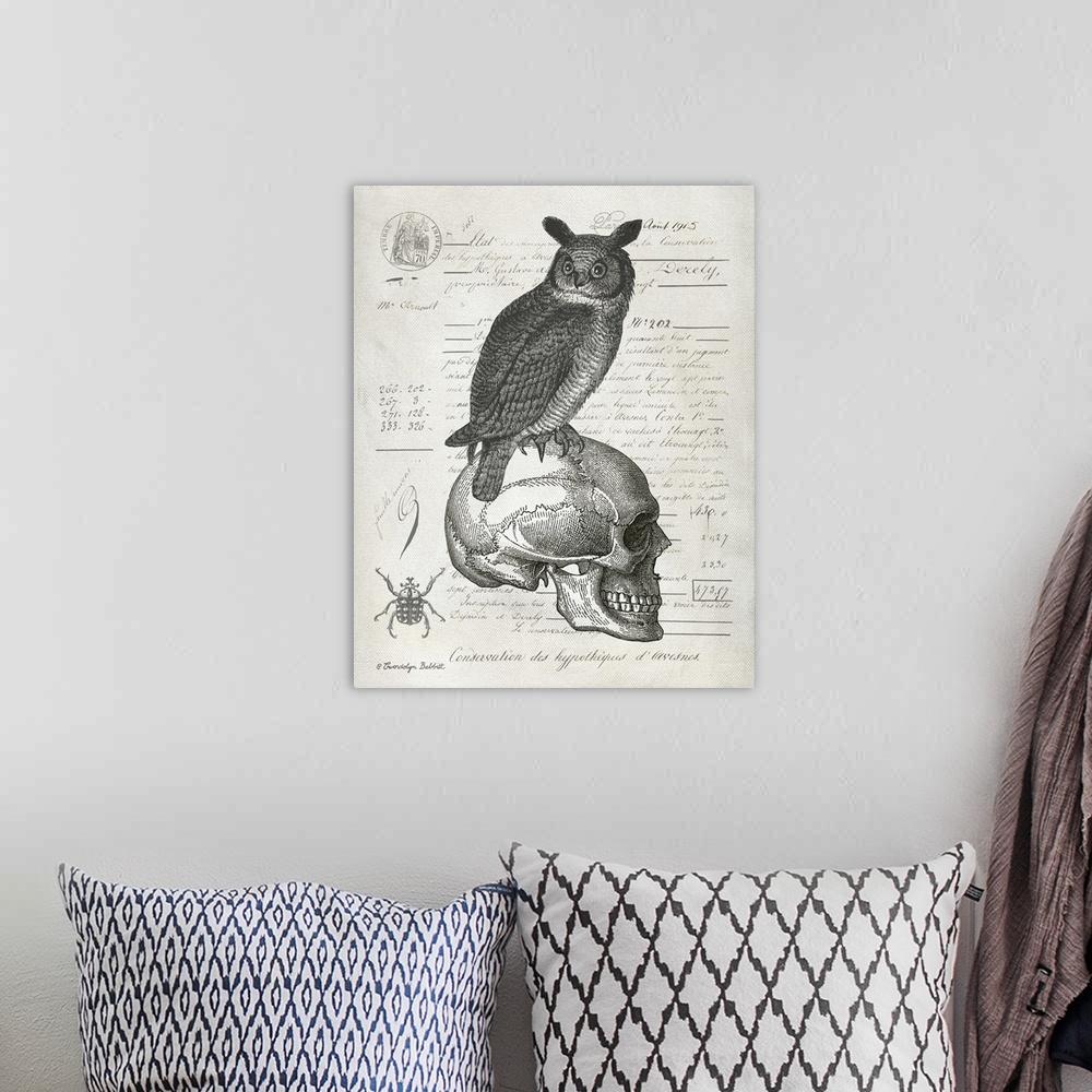 A bohemian room featuring Owl