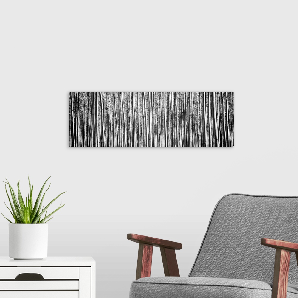 A modern room featuring Pacific Albus II - Black and White
