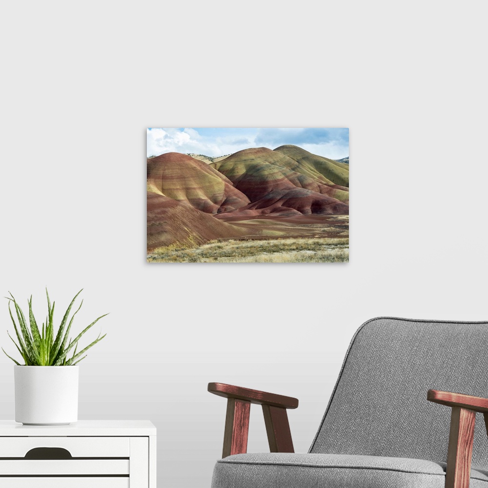 A modern room featuring Painted Hills II