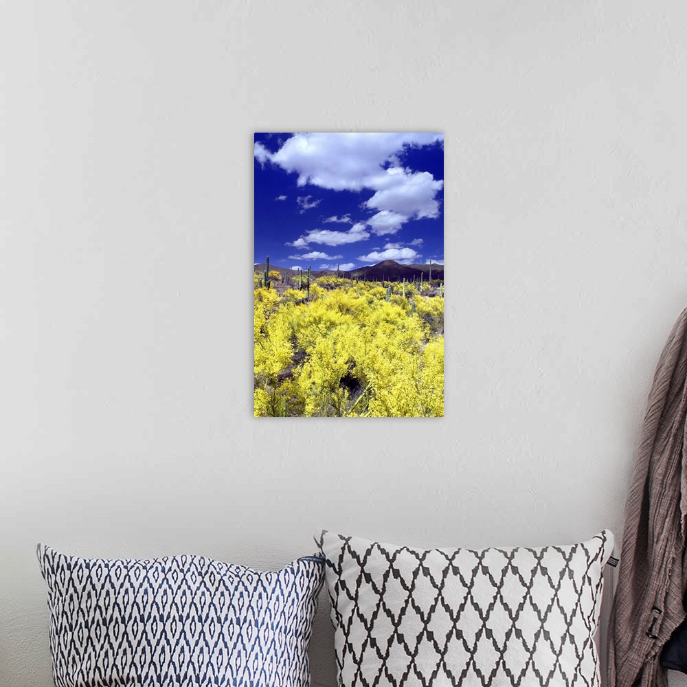 A bohemian room featuring Landscape photograph with bright yellow flowers in the foreground and mountains in the background.