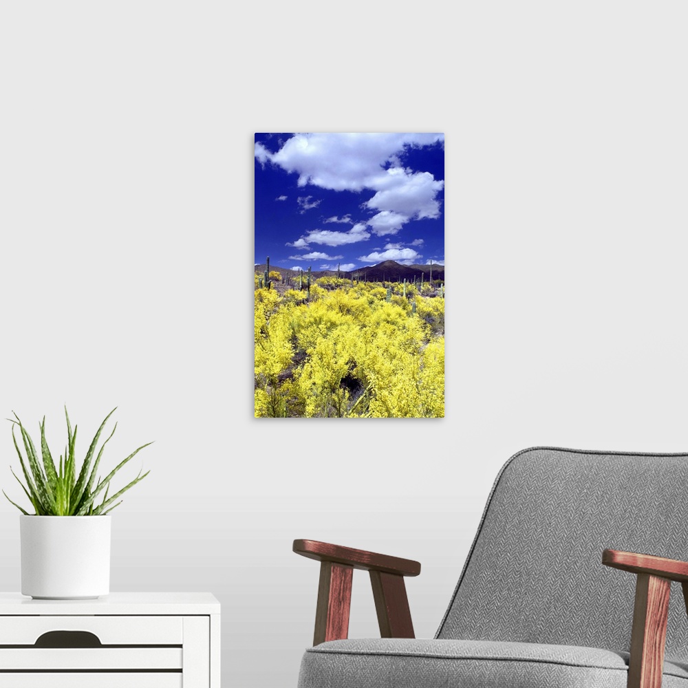 A modern room featuring Landscape photograph with bright yellow flowers in the foreground and mountains in the background.