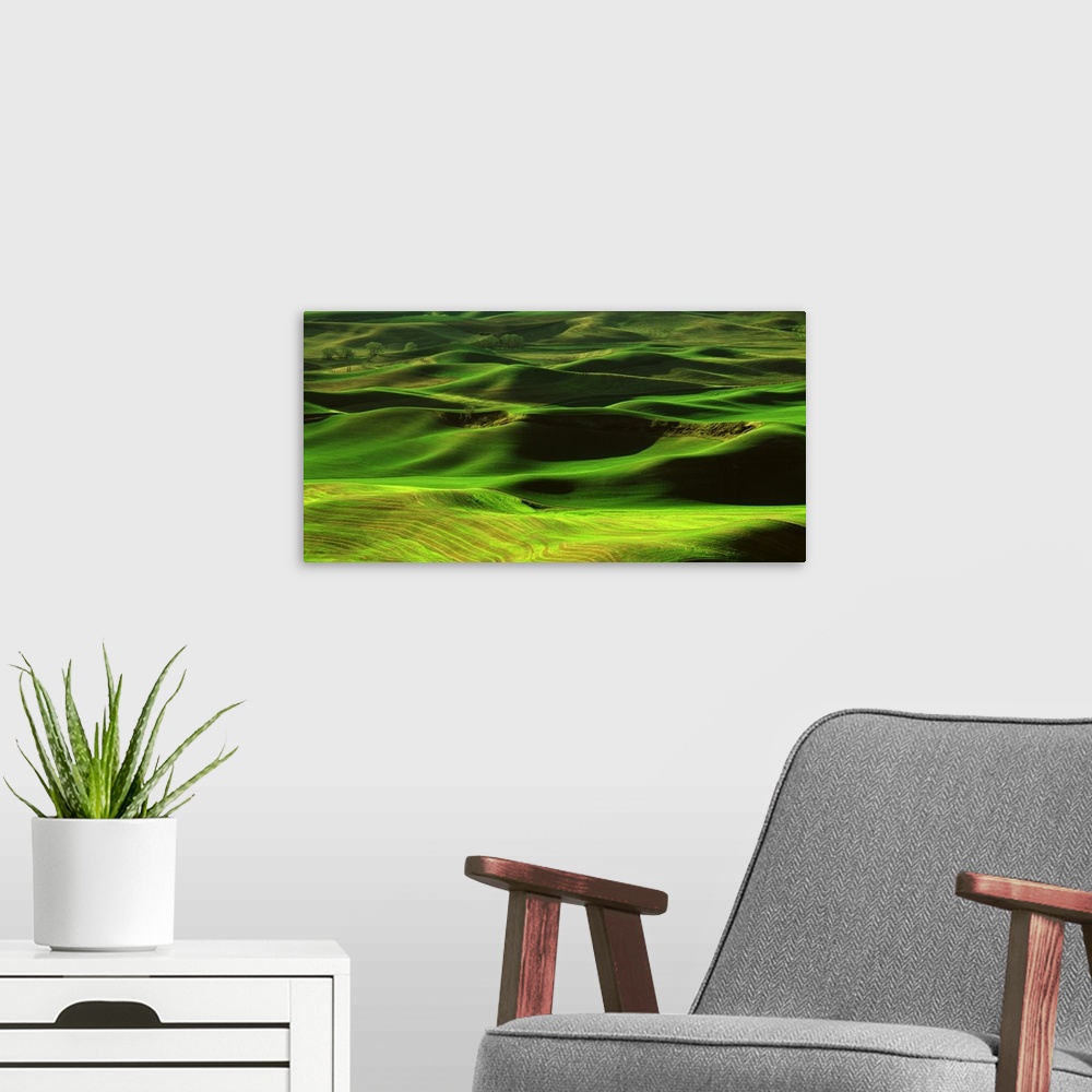 A modern room featuring Landscape photograph of green rolling hills in Washington.