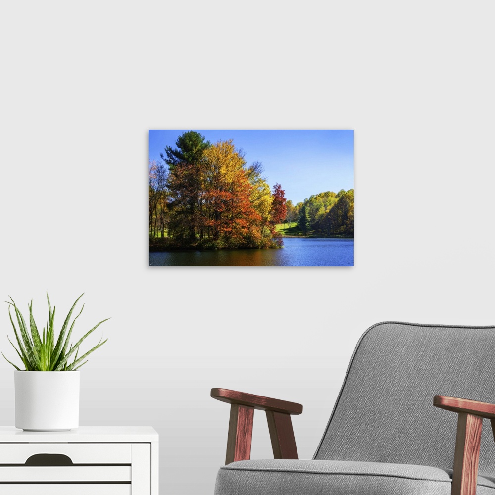 A modern room featuring Trees turning fall colors at the edge of a lake.