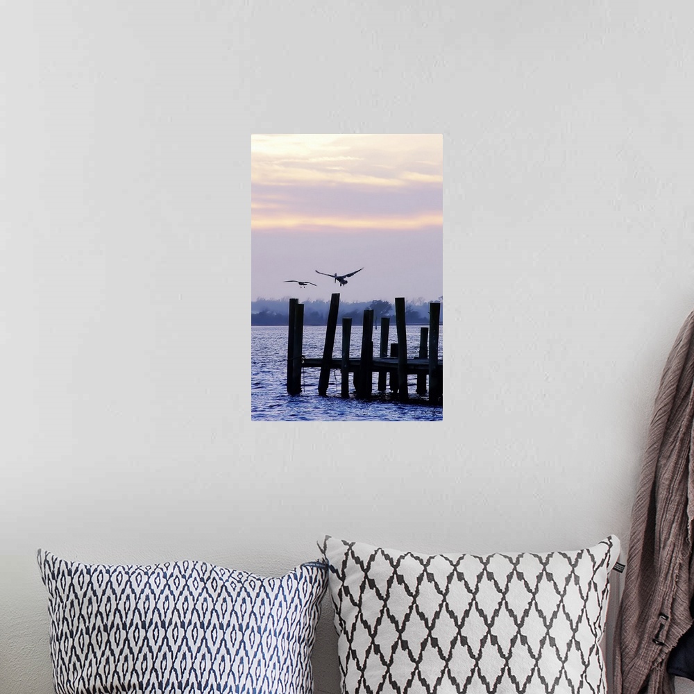 A bohemian room featuring Pelican and Friend