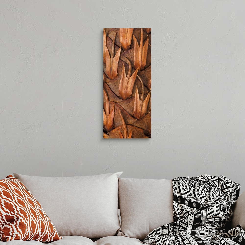 A bohemian room featuring Close up photo of a pine cone, creating an abstract image.