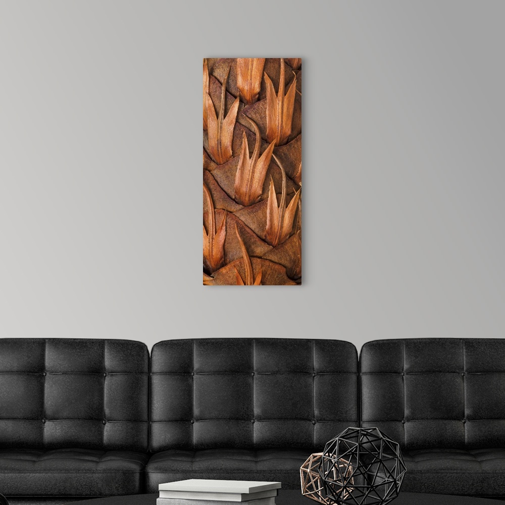 A modern room featuring Close up photo of a pine cone, creating an abstract image.