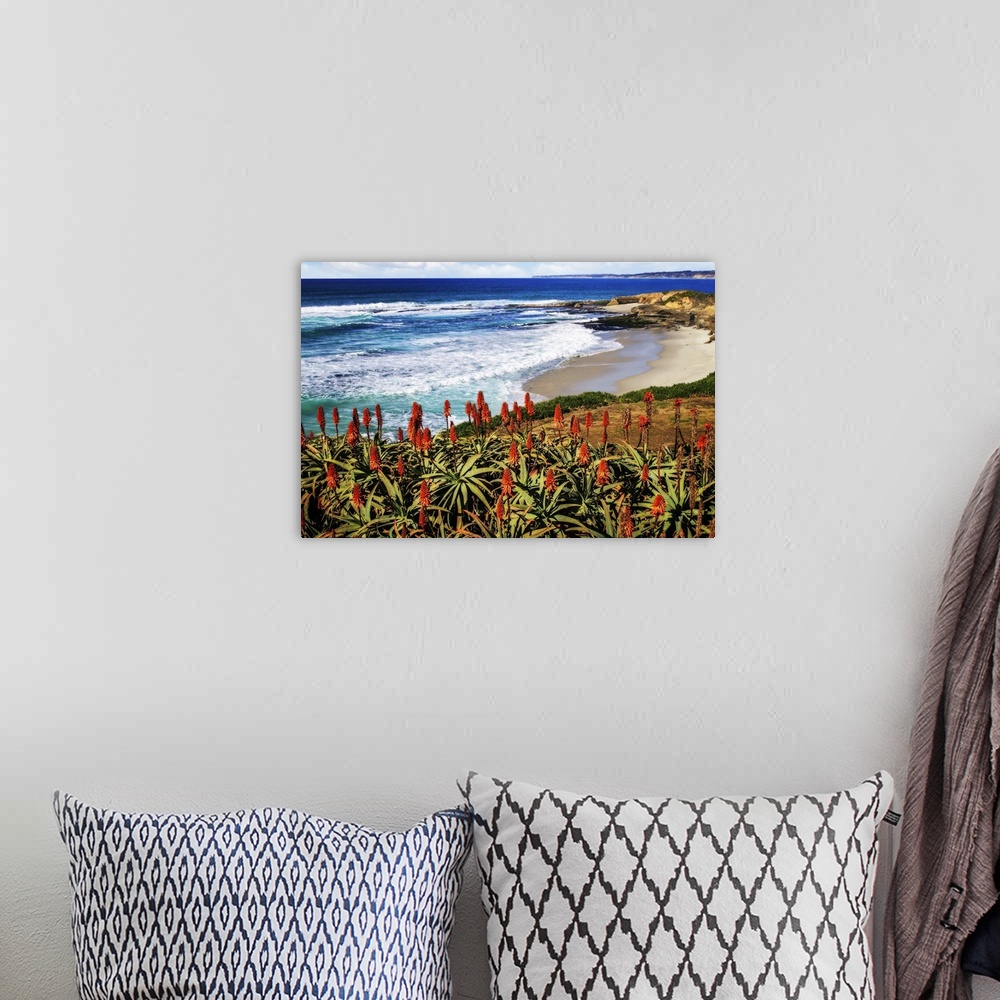 A bohemian room featuring Landscape photograph of a small beach in La Jolla, CA, with red hot poker flowers in the foreground.