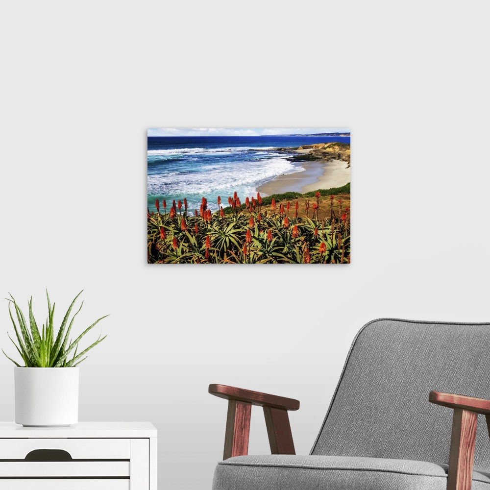A modern room featuring Landscape photograph of a small beach in La Jolla, CA, with red hot poker flowers in the foreground.