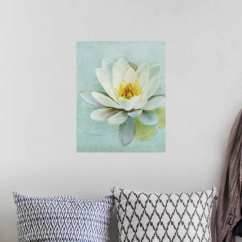 A bohemian room featuring Pond Lily