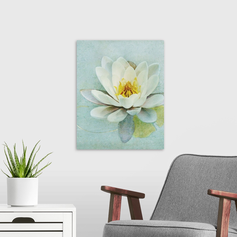 A modern room featuring Pond Lily