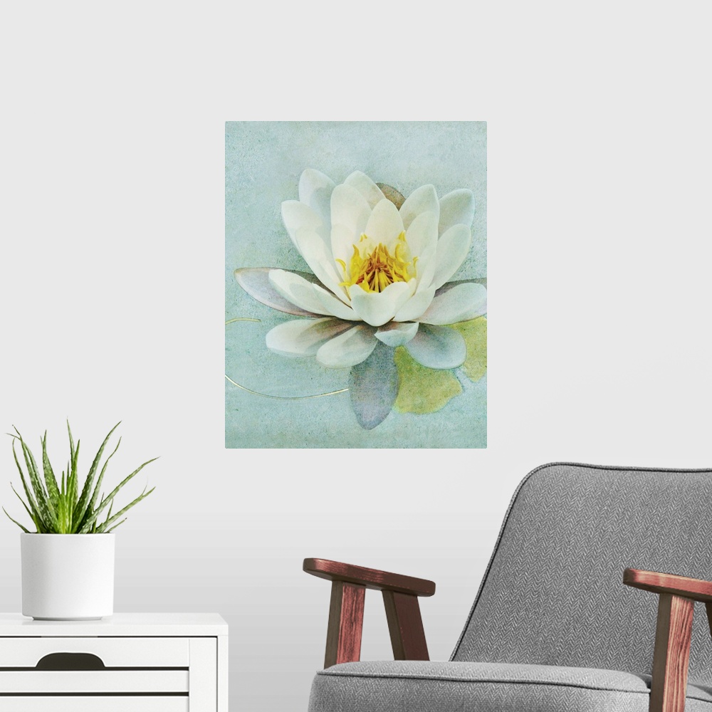 A modern room featuring Pond Lily