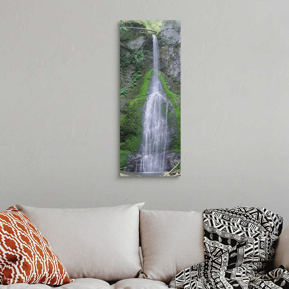 A bohemian room featuring Waterfall with mossy rocks in a shady forest in the Cascades.