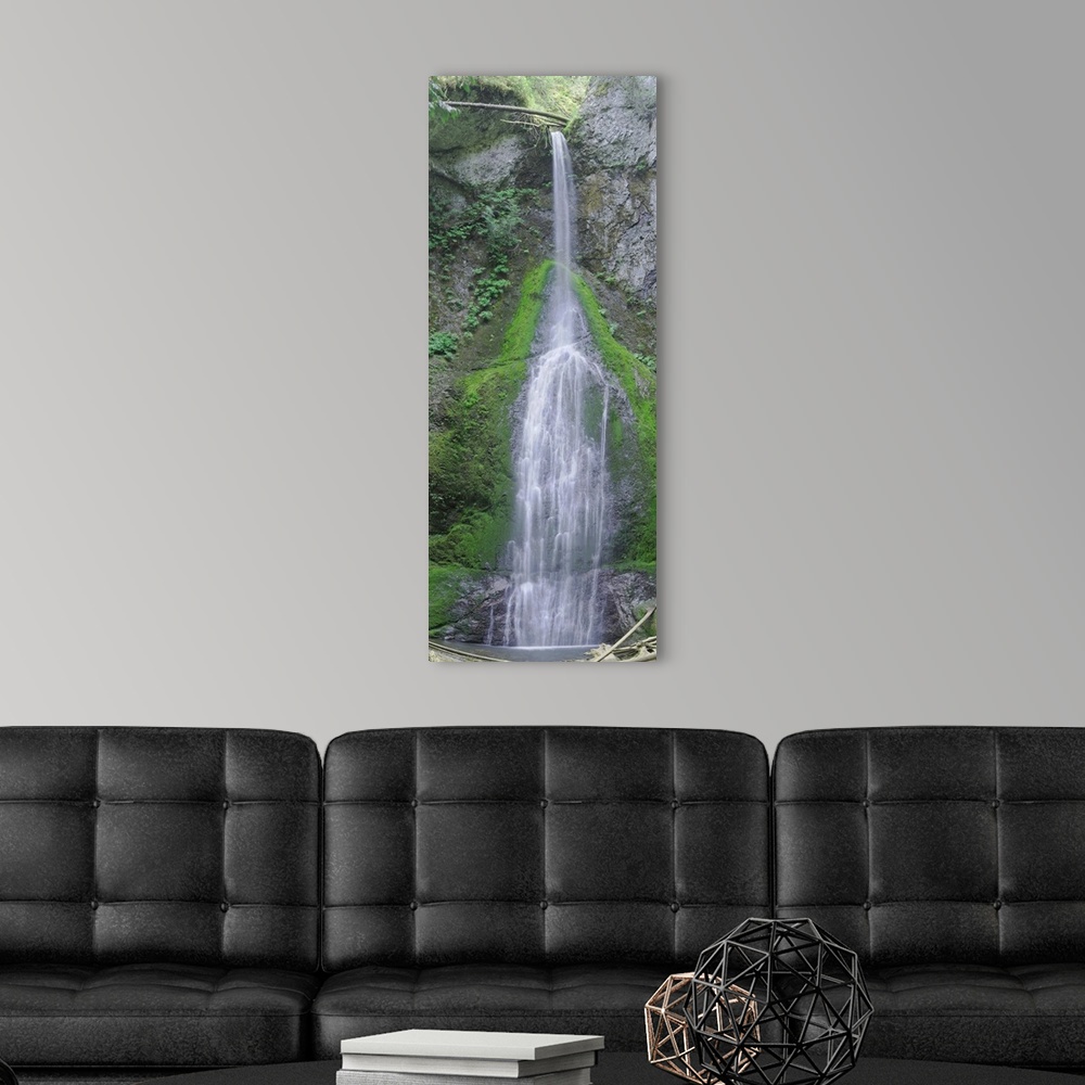 A modern room featuring Waterfall with mossy rocks in a shady forest in the Cascades.