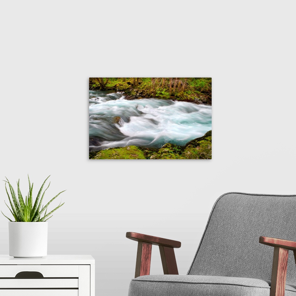 A modern room featuring Long exposure photograph of a rushing river surrounded by bright green vegetation.