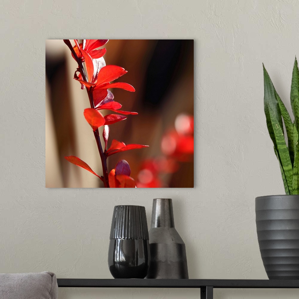 A modern room featuring Red Leaves I