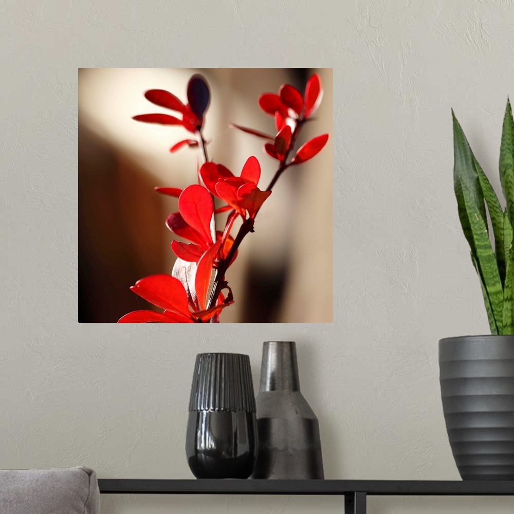 A modern room featuring Red Leaves II