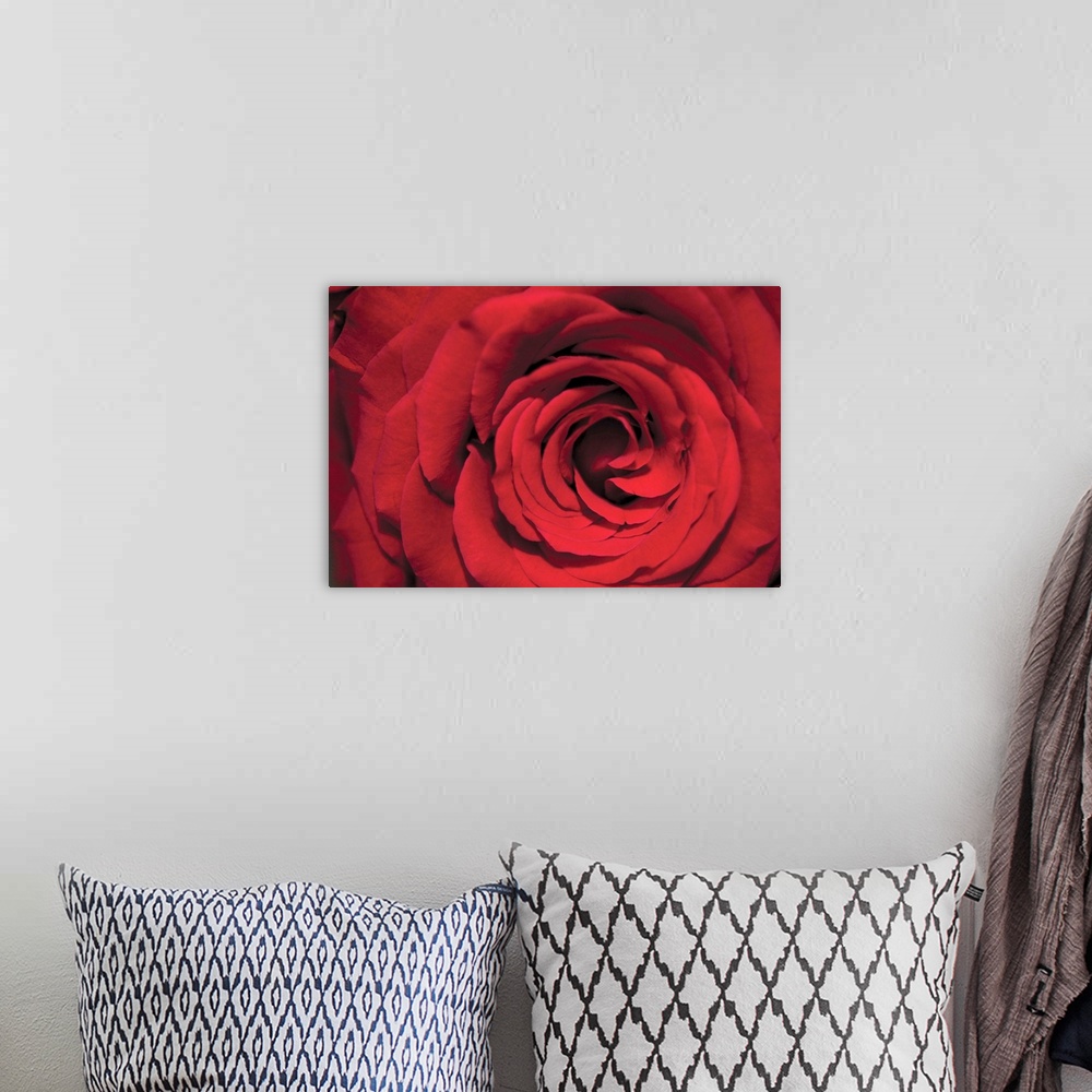 A bohemian room featuring Big canvas image of the up-close view of a rose.