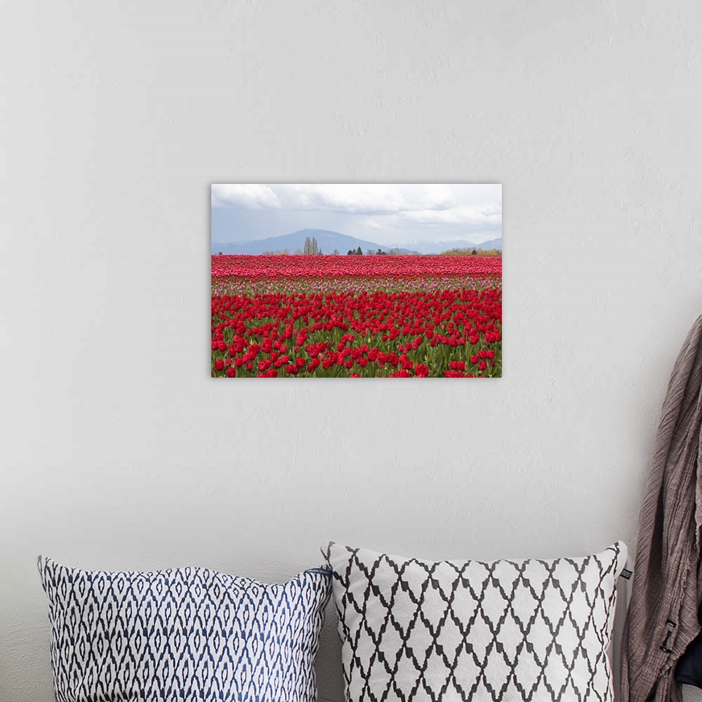 A bohemian room featuring Red Tulip Mound II
