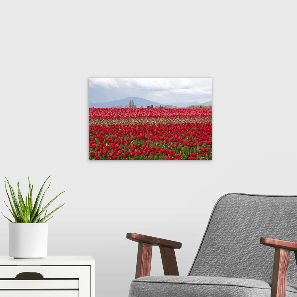A modern room featuring Red Tulip Mound II