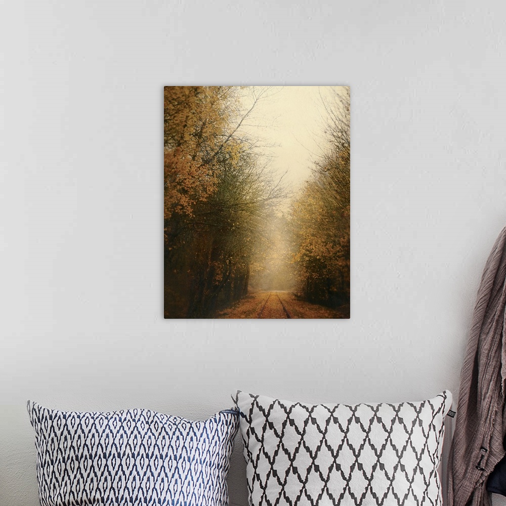 A bohemian room featuring Vertical, large fine art photograph of a narrow road covered in fallen leaves, surrounded by half...