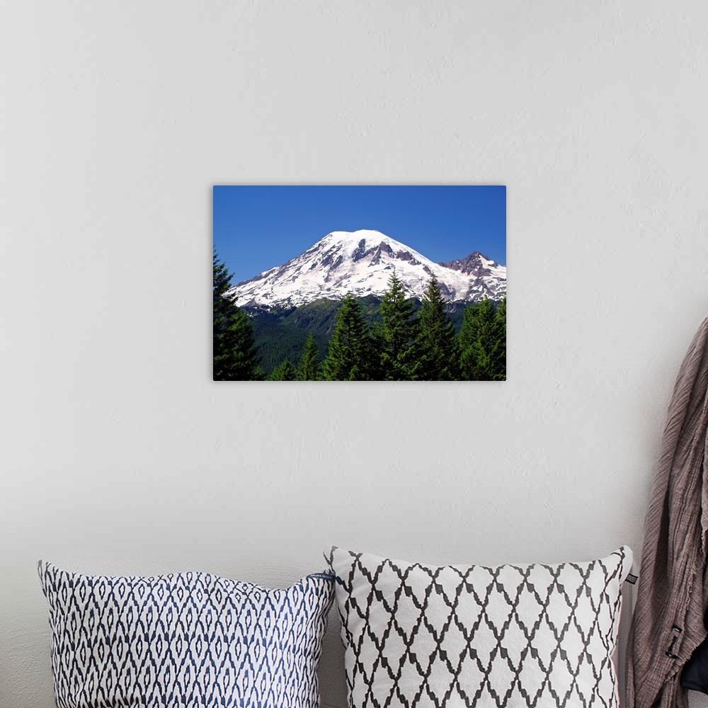 A bohemian room featuring Landscape photograph of Mount Rainier's snowy mountain top with green trees in the foreground.