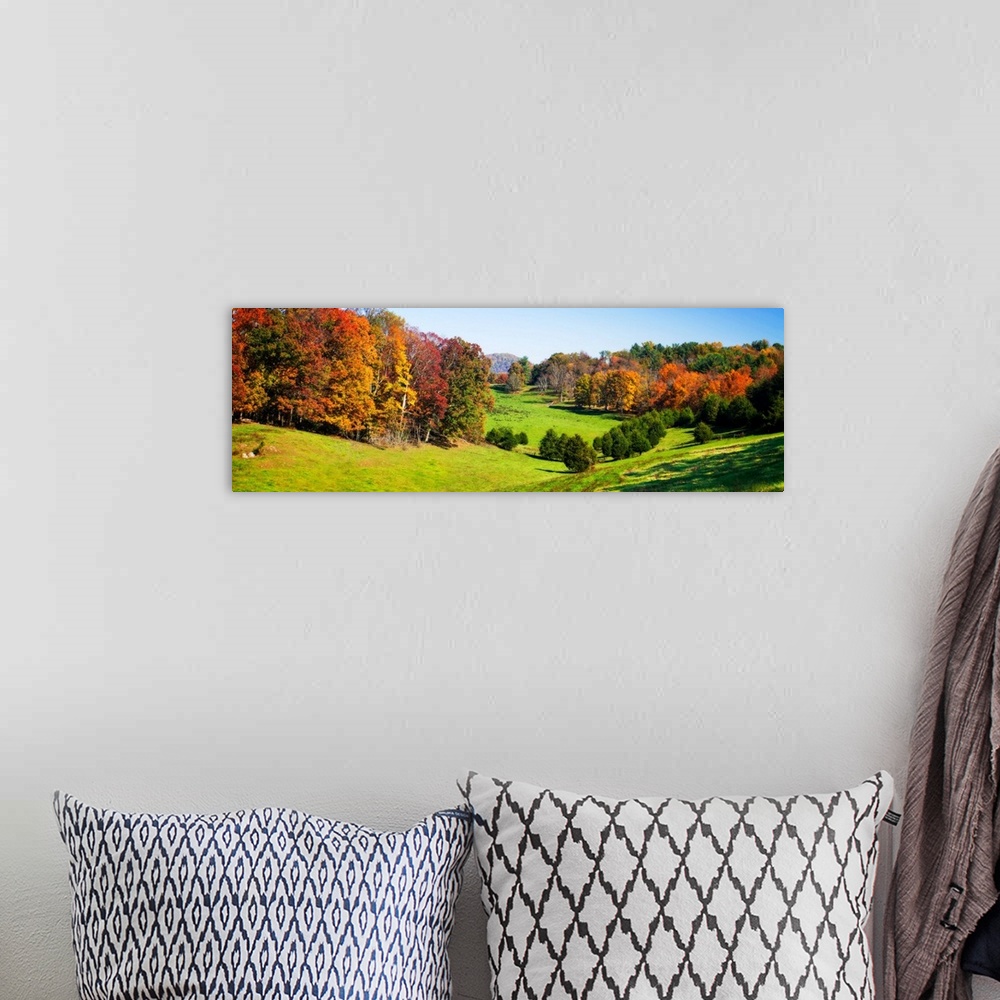 A bohemian room featuring Rolling Autumn Hills -1
