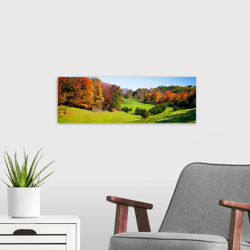 A modern room featuring Rolling Autumn Hills -1