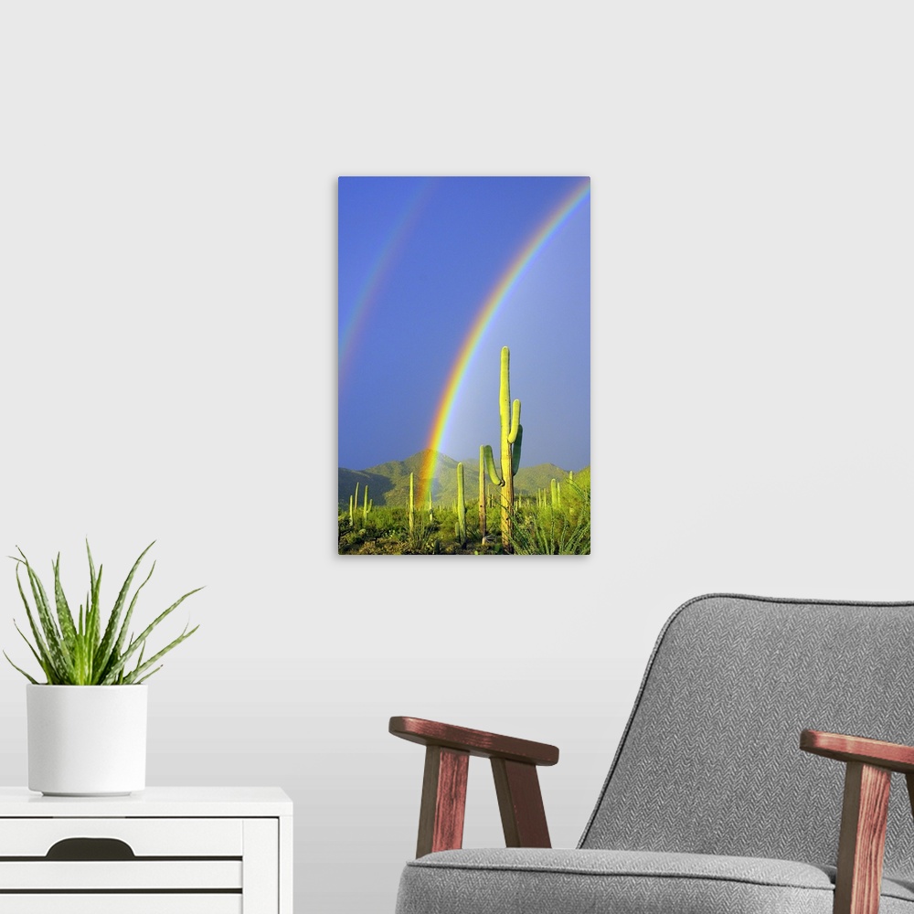 A modern room featuring Saguaro Rainbow I
