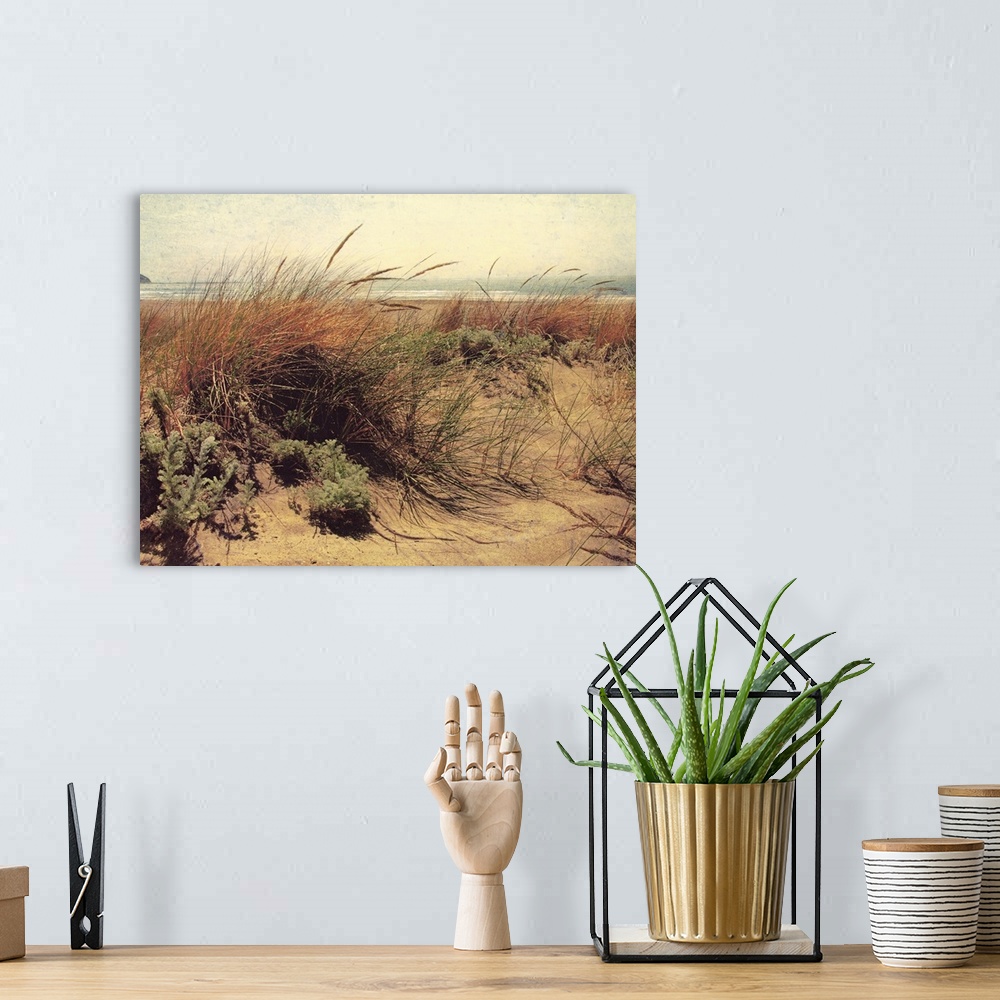 A bohemian room featuring Large, horizontal, vintage photograph of tall grasses and foliage in front of the beach, blue wat...