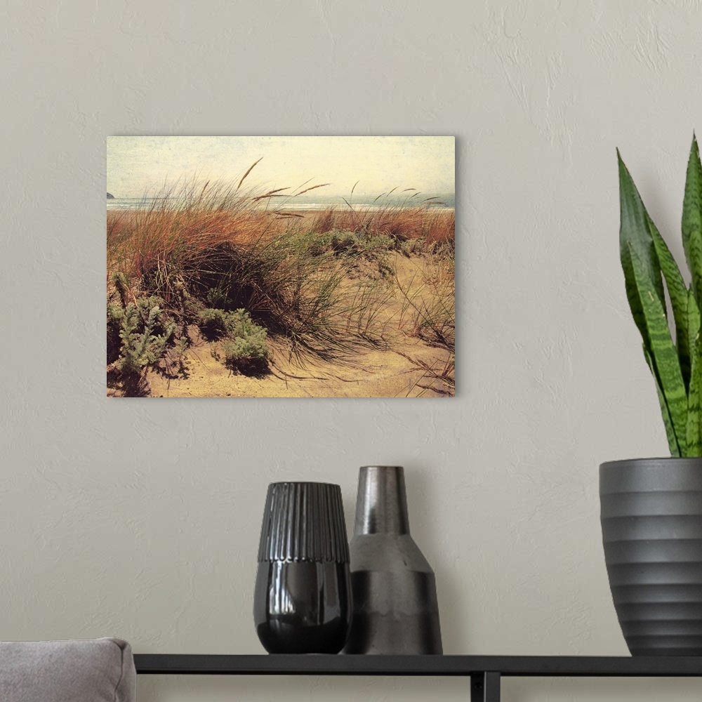 A modern room featuring Large, horizontal, vintage photograph of tall grasses and foliage in front of the beach, blue wat...