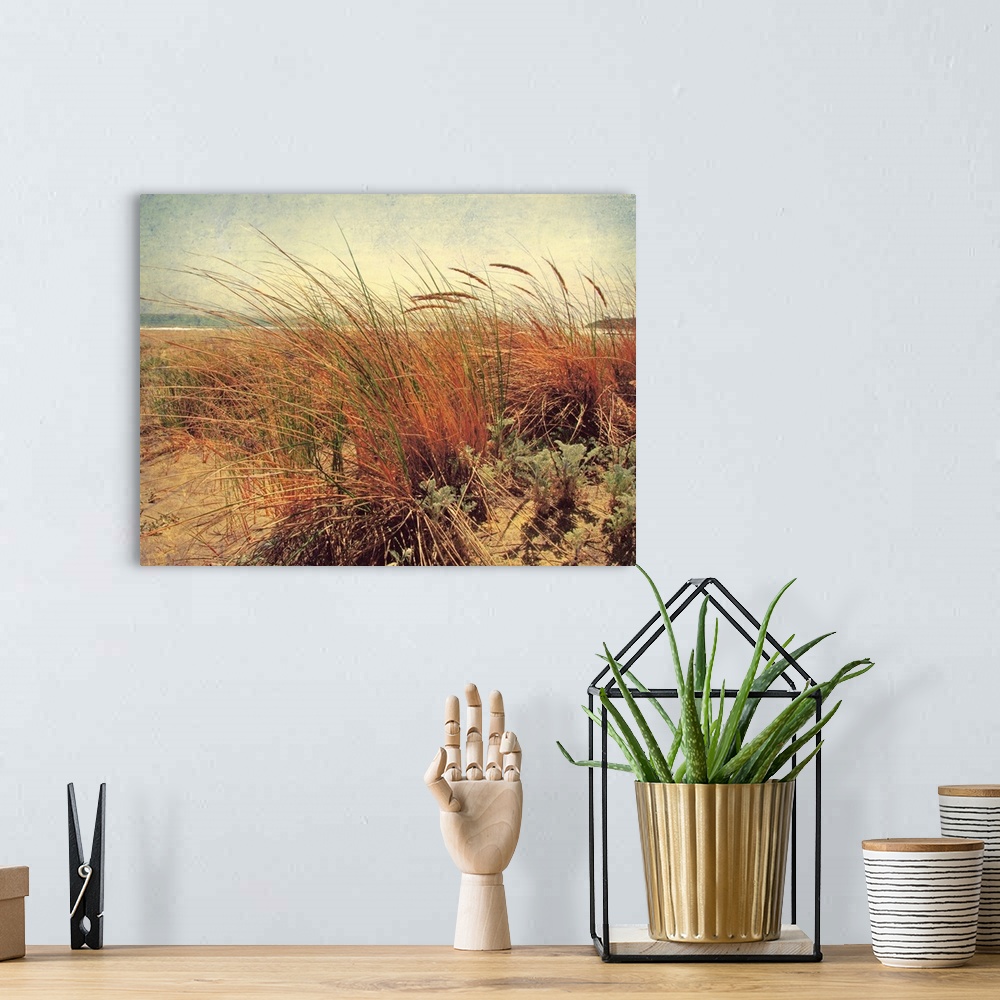 A bohemian room featuring Large photograph showcases the high grass of a sandy beach gently blowing in the wind, while the ...