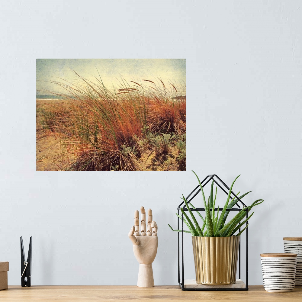 A bohemian room featuring Large photograph showcases the high grass of a sandy beach gently blowing in the wind, while the ...