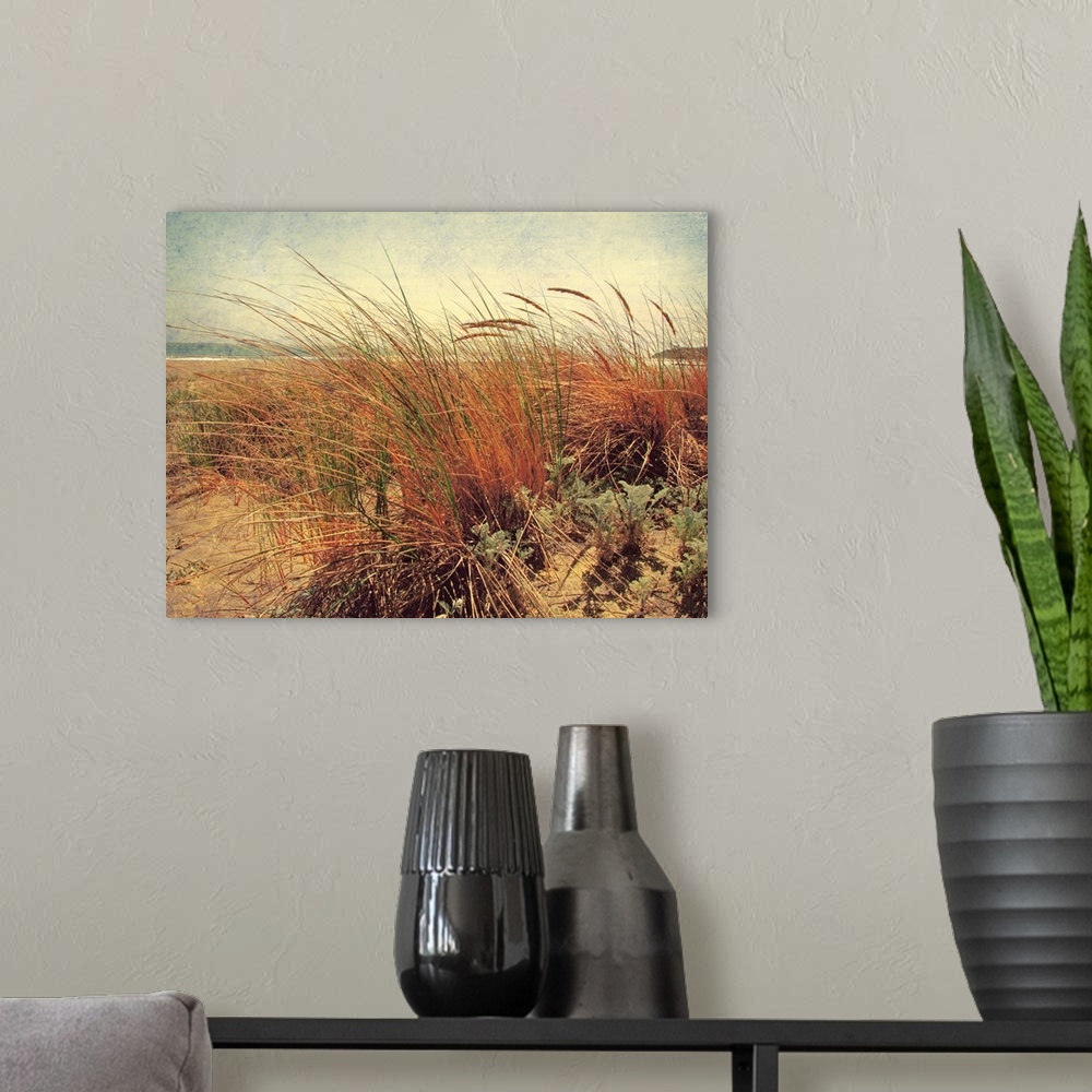 A modern room featuring Large photograph showcases the high grass of a sandy beach gently blowing in the wind, while the ...