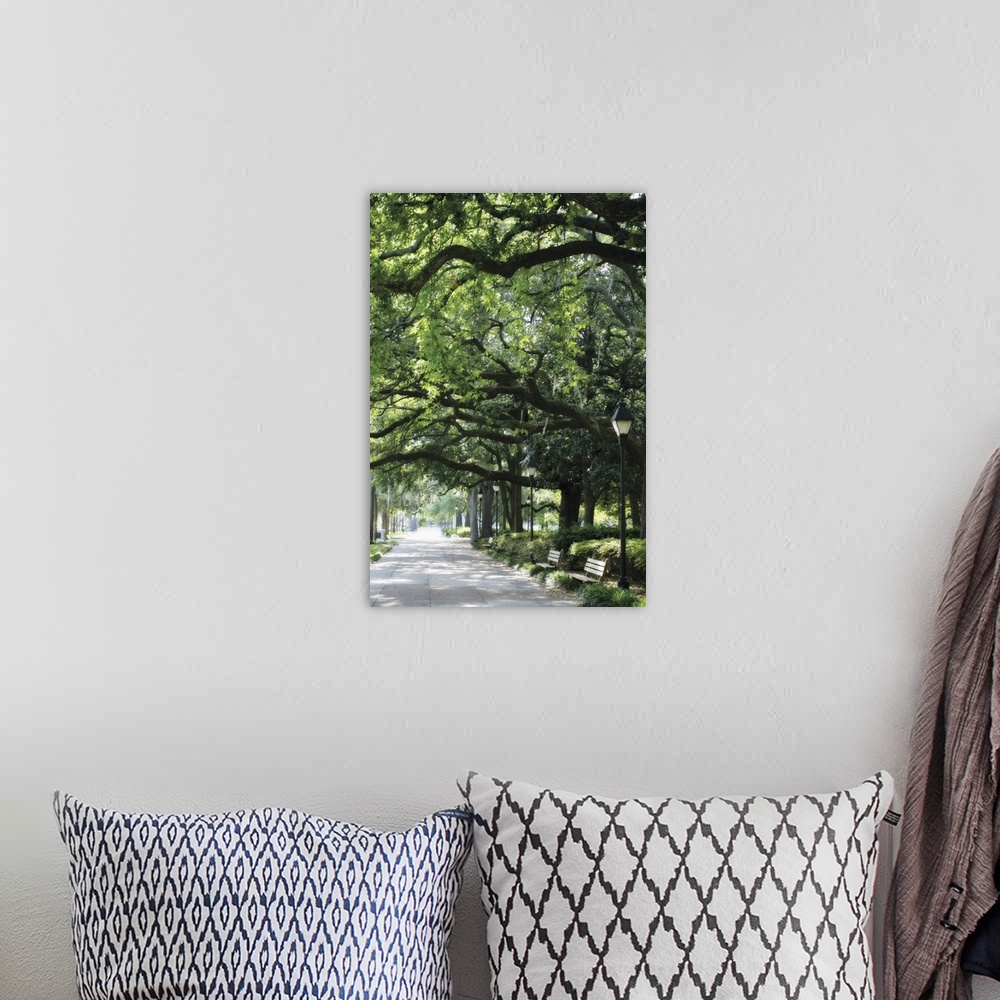 A bohemian room featuring Vertical image on canvas of a walkway leading through a park with large trees with big branches.
