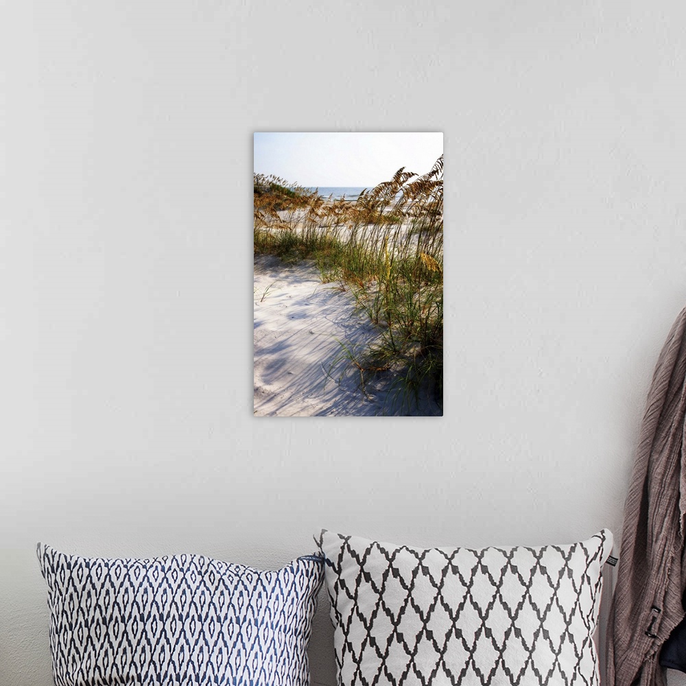 A bohemian room featuring Landscape photograph of a sandy beach covered in sea oats, blowing in the wind.