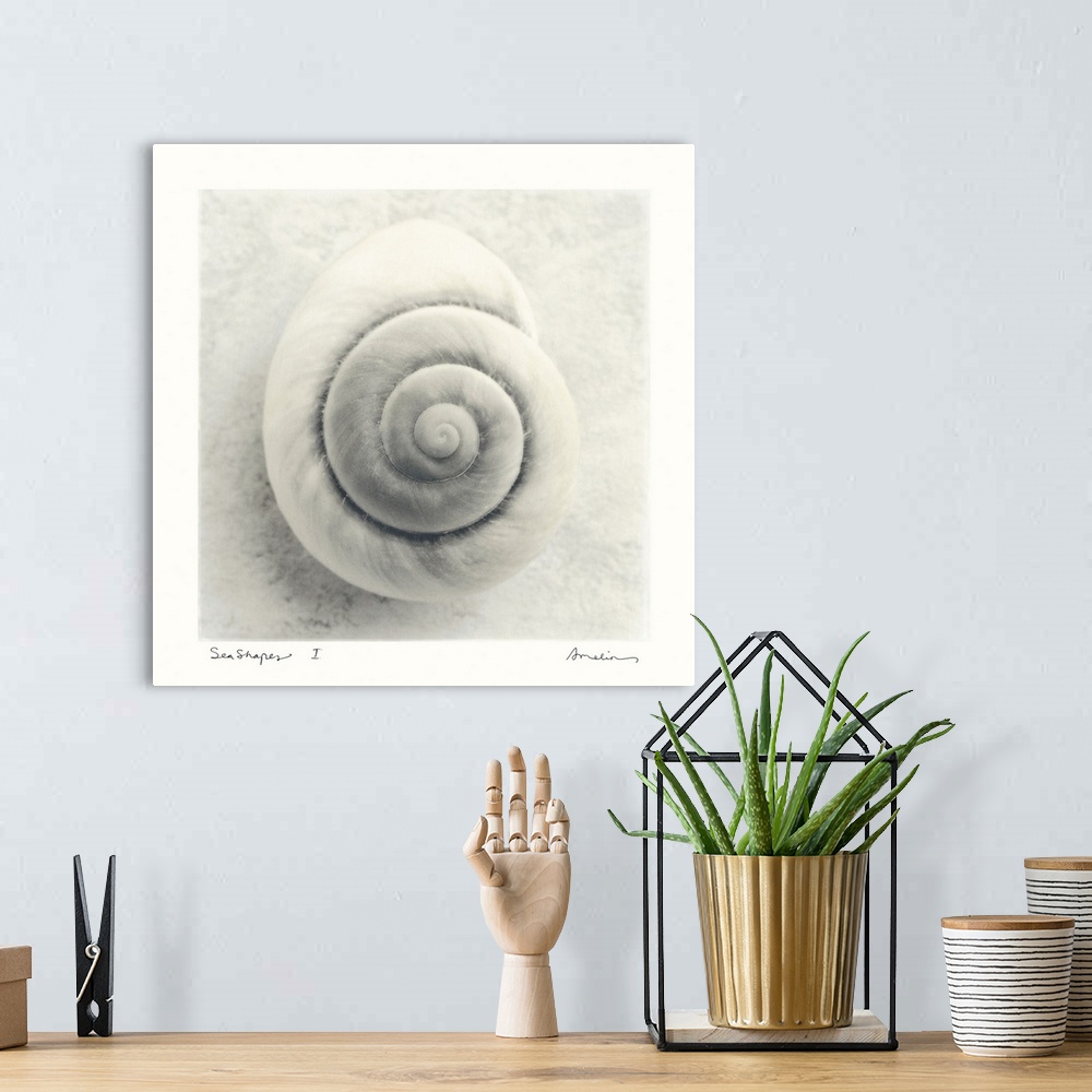 A bohemian room featuring Large, square home art docor of a single, spiral sea shell on the sand, the image surrounded by a...
