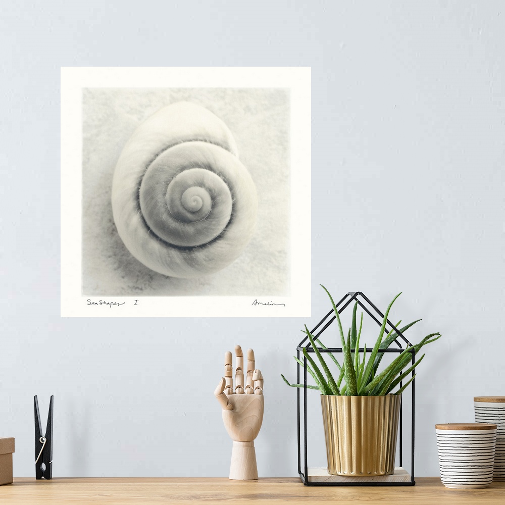 A bohemian room featuring Large, square home art docor of a single, spiral sea shell on the sand, the image surrounded by a...