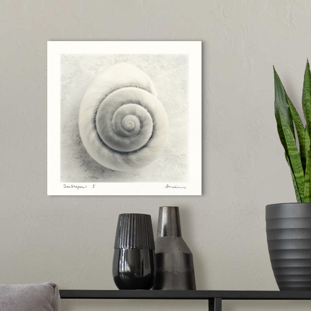 A modern room featuring Large, square home art docor of a single, spiral sea shell on the sand, the image surrounded by a...