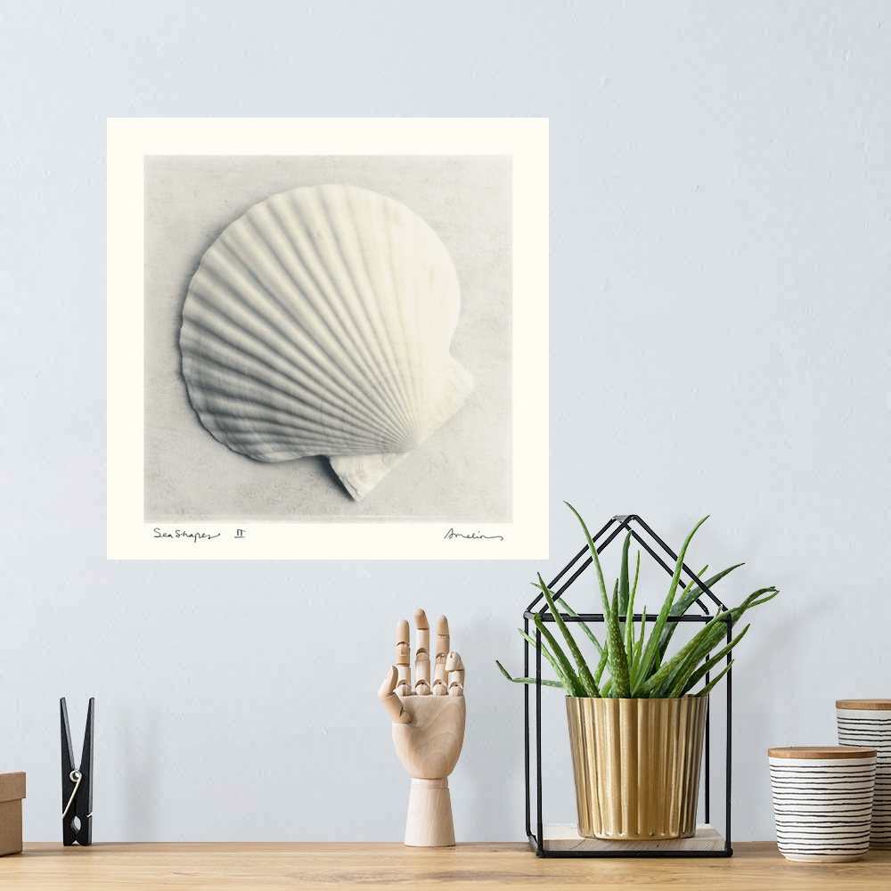 A bohemian room featuring Decorative artwork for the home of an enlarged scallop seashell.