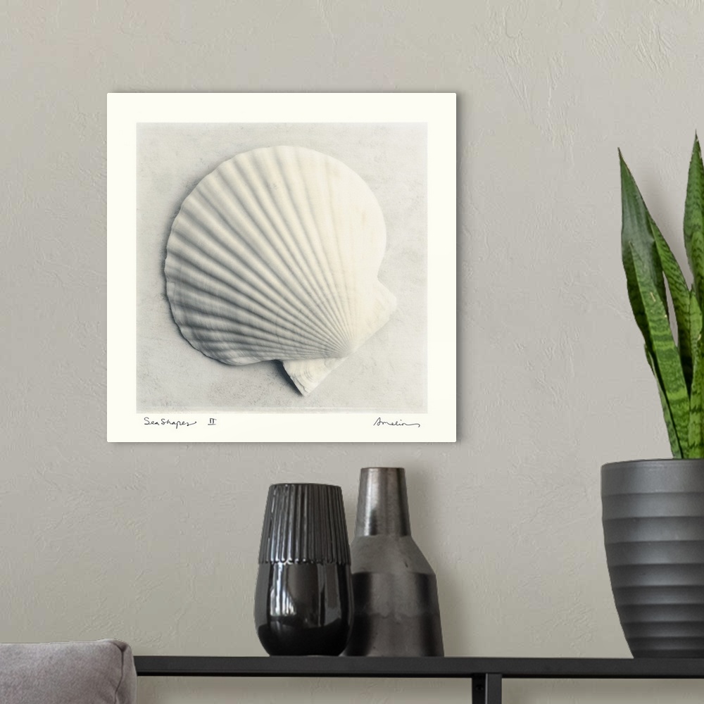 A modern room featuring Decorative artwork for the home of an enlarged scallop seashell.